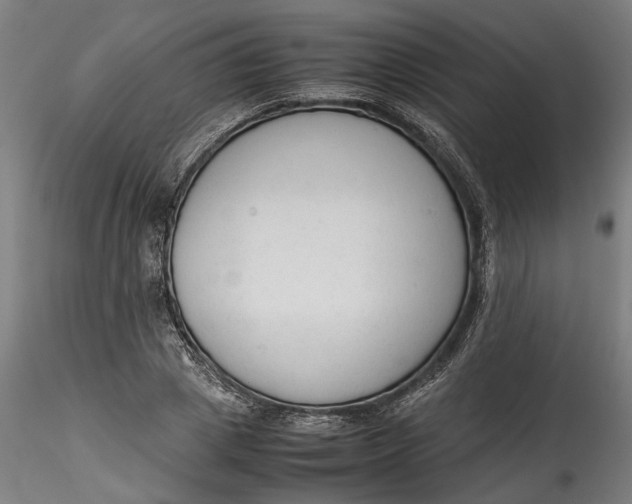 X0000115540833200911271408