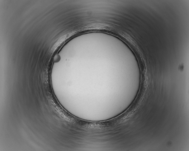 X0000115540834200911271408