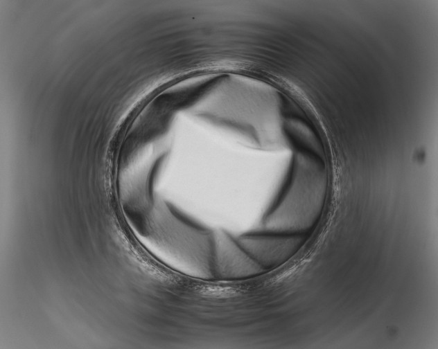 X0000115540835200911271408