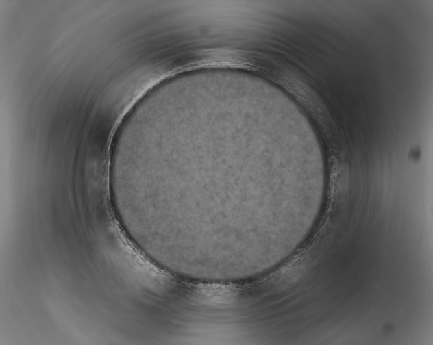 X0000115540836200911271408