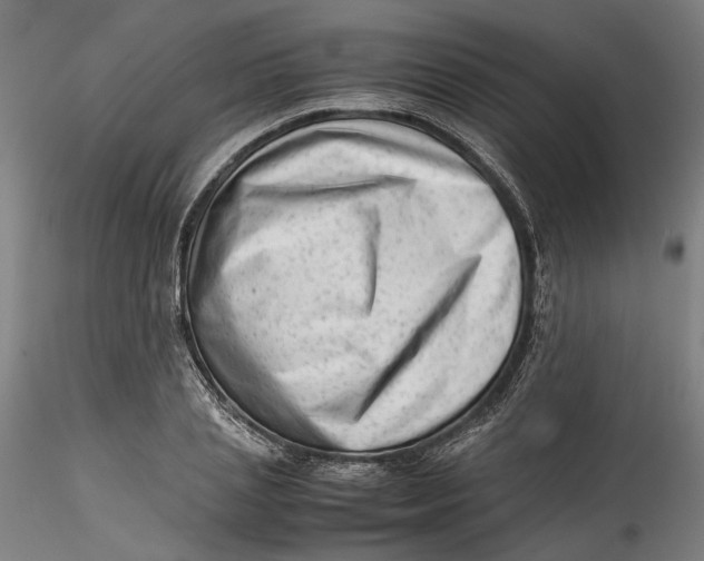 X0000115540837200911271408