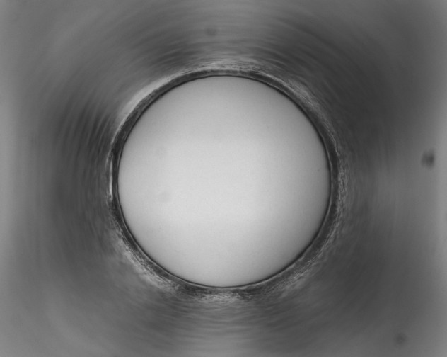 X0000115540838200911271408