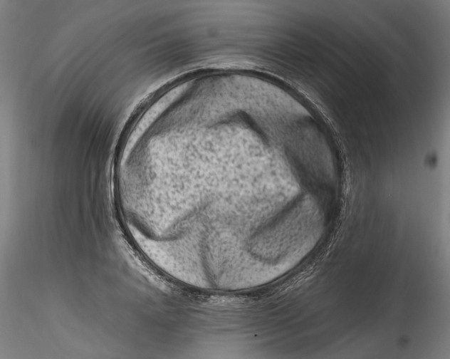 X0000115540840200911271408