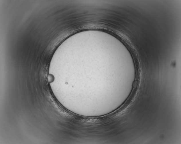 X0000115540841200911271408