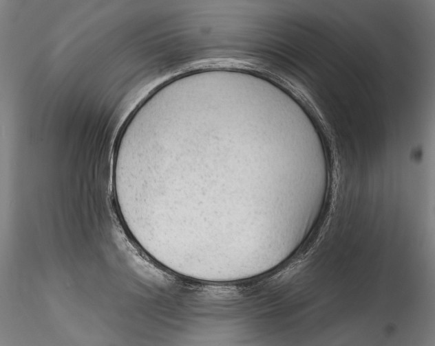 X0000115540844200911271408