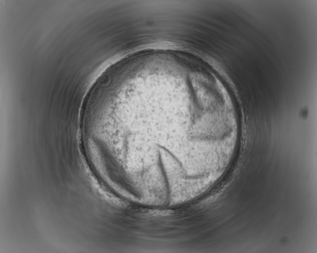 X0000115540845200911271408