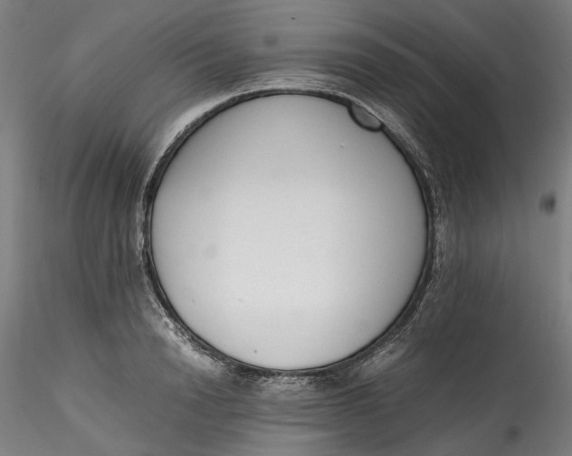 X0000115540846200911271408