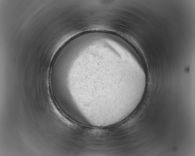 X0000115540847200911271408