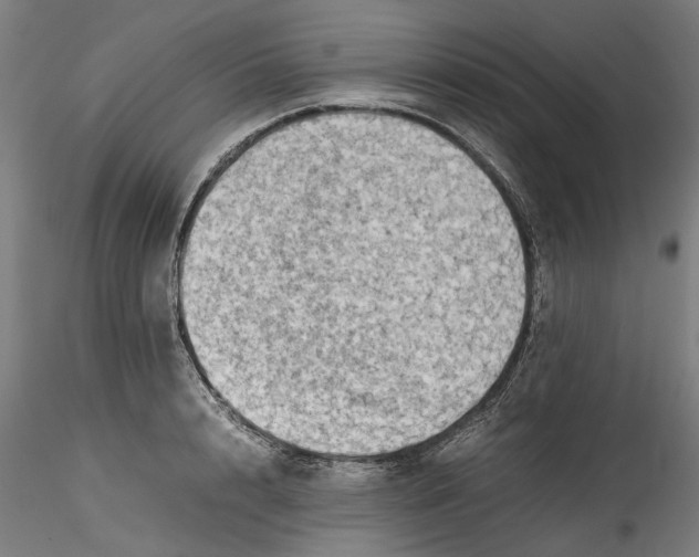 X0000115540848200911271408