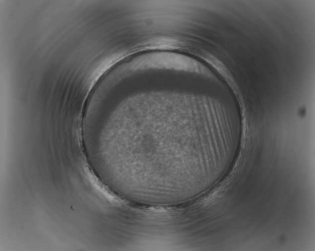 X0000115540850200911271408