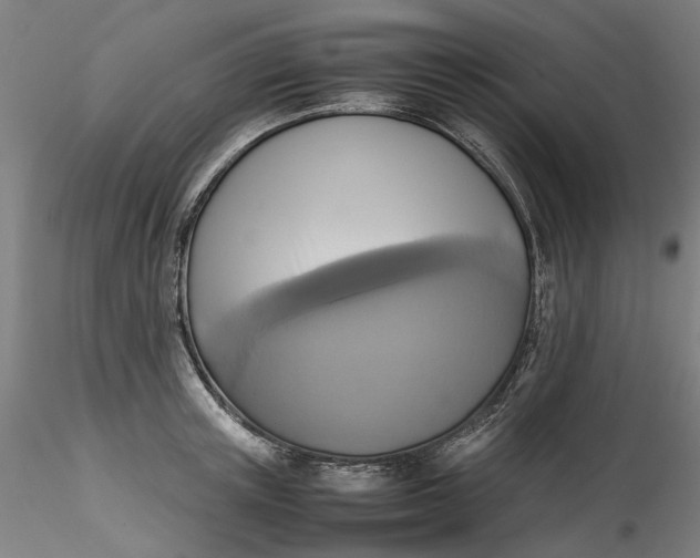 X0000115540851200911271409