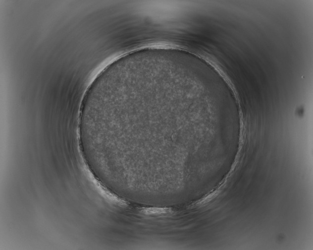 X0000115540853200911271409