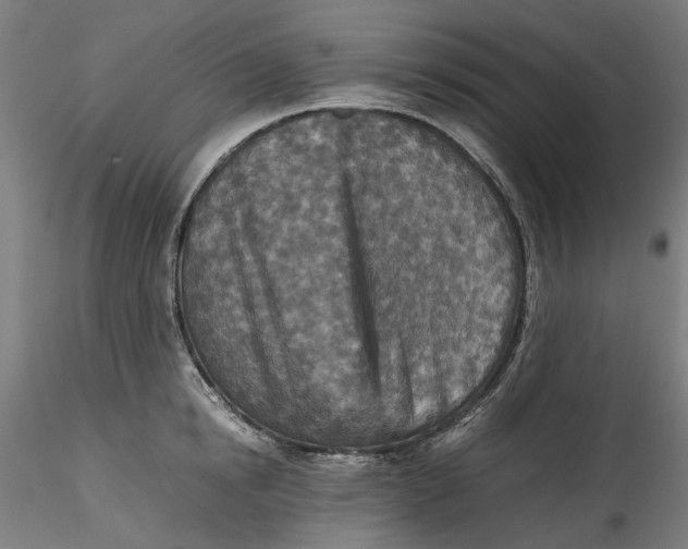 X0000115540854200911271409