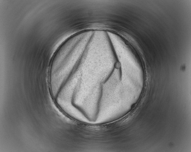 X0000115540855200911271409