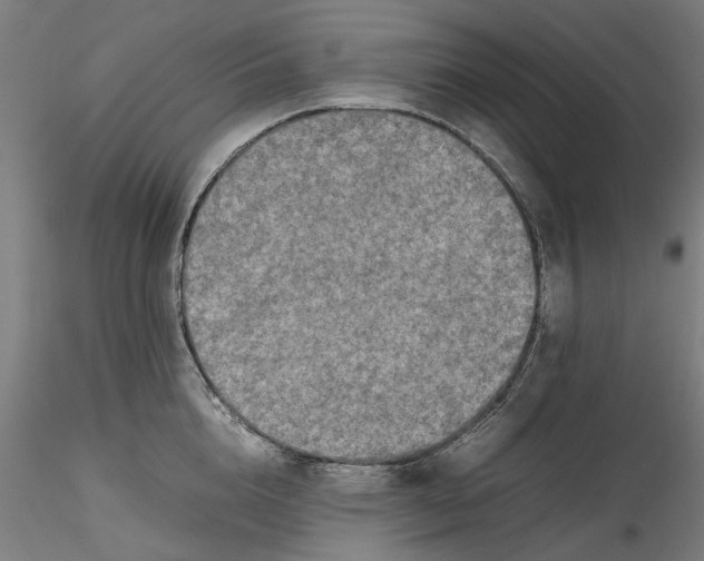 X0000115540856200911271409