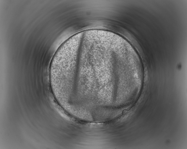 X0000115540858200911271409