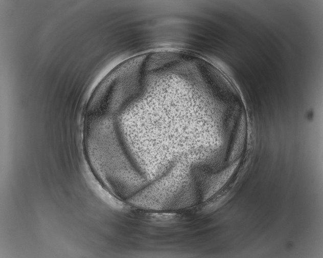 X0000115540859200911271409