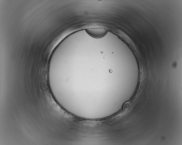 X0000115540860200911271409