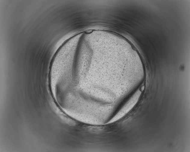 X0000115540861200911271409