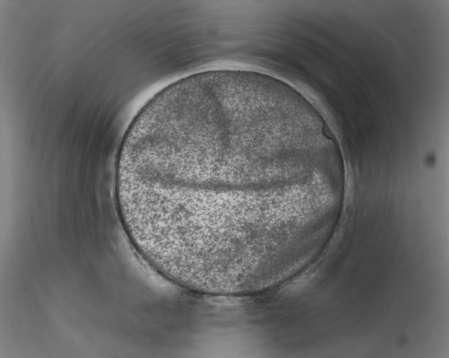 X0000115540862200911271409