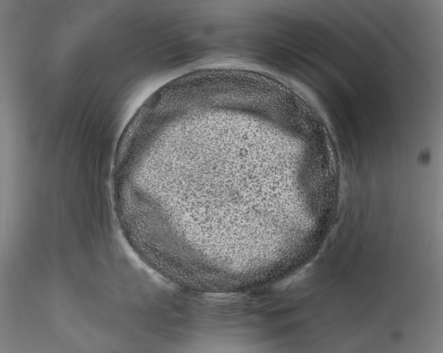 X0000115540863200911271409