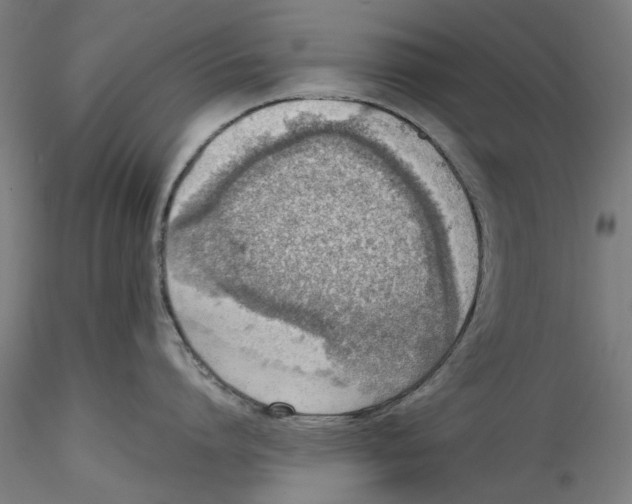 X0000115540864200911271409