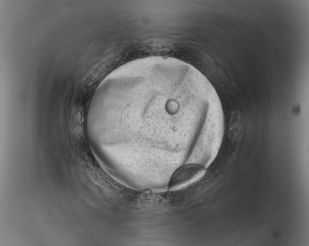 X0000115540866200911271408