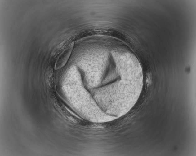 X0000115540867200911271408