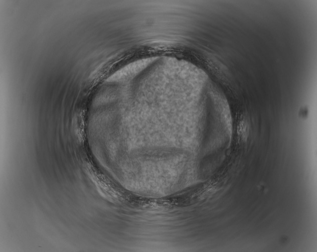 X0000115540868200911271408