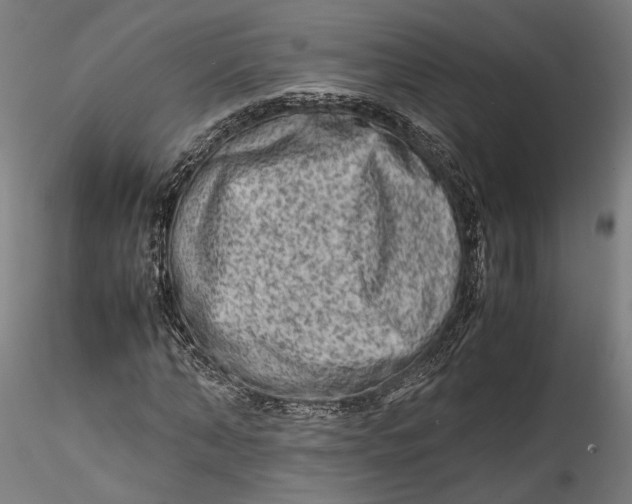 X0000115540870200911271408