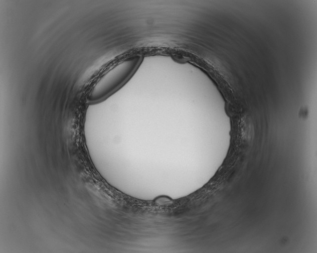 X0000115540872200911271408