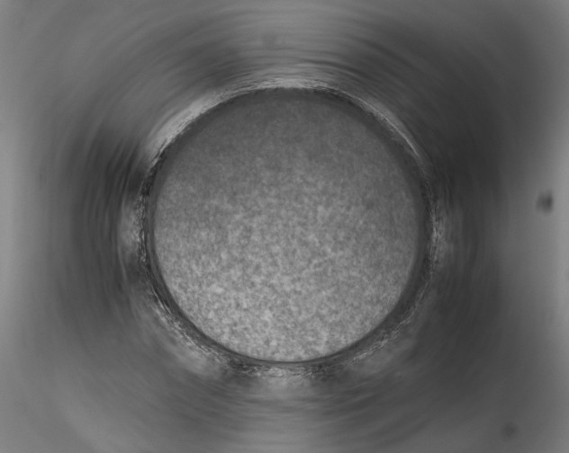 X0000115540874200911271408