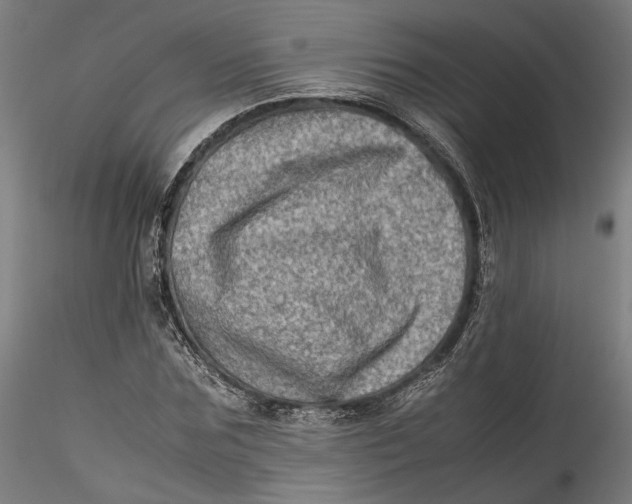 X0000115540875200911271408