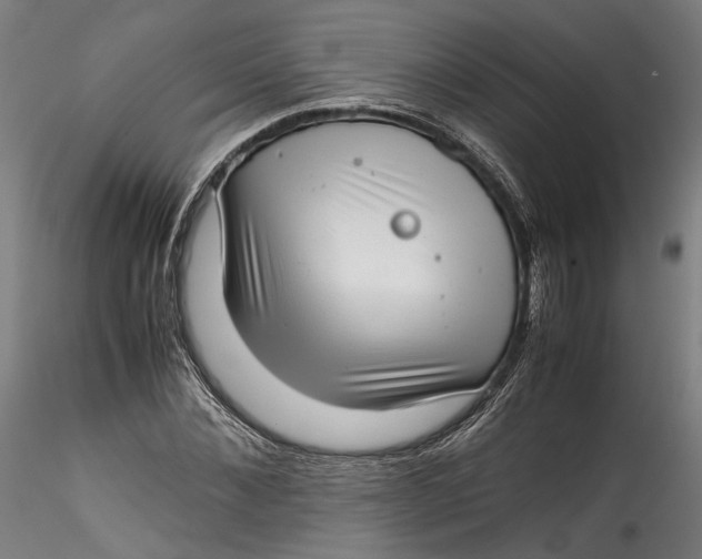 X0000115540876200911271408