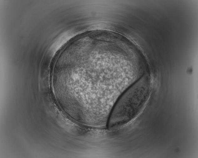 X0000115540877200911271408