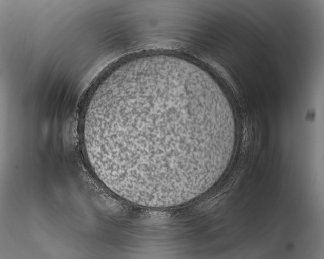 X0000115540878200911271408