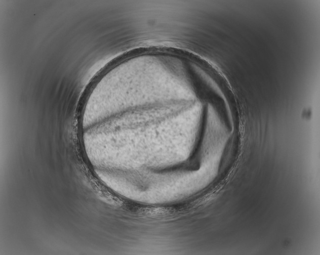 X0000115540879200911271408