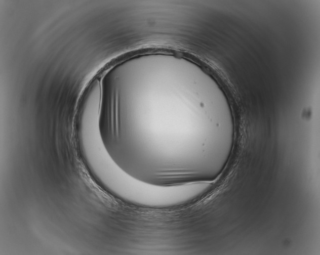 X0000115540880200911271408