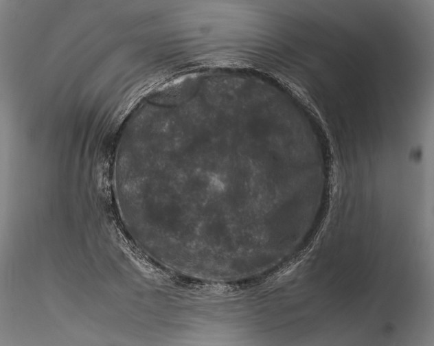 X0000115540881200911271408