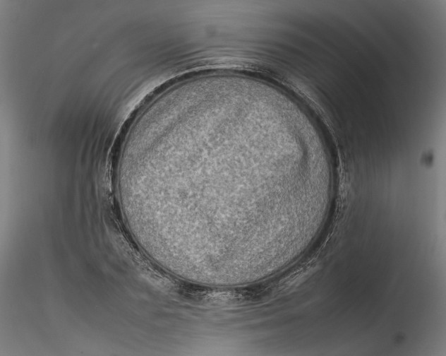 X0000115540883200911271408