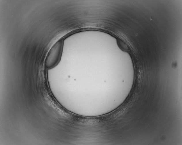 X0000115540884200911271408