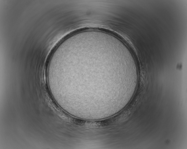 X0000115540887200911271408