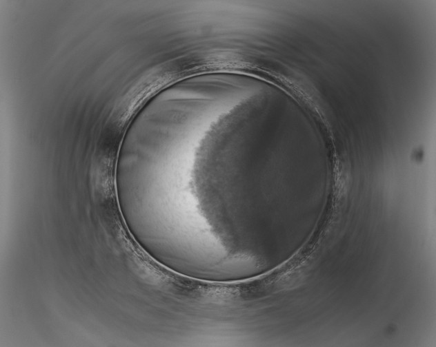 X0000115540889200911271408