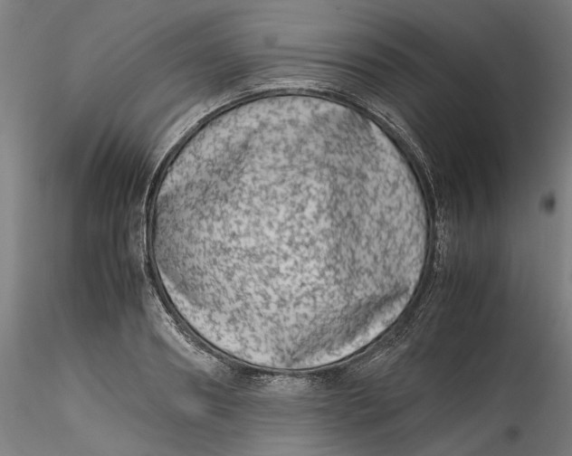 X0000115540890200911271408