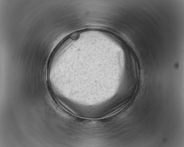 X0000115540891200911271408