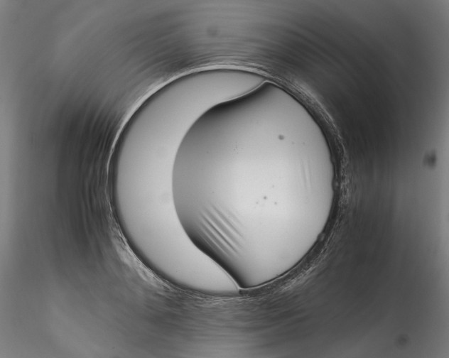 X0000115540892200911271408