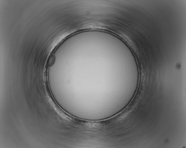 X0000115540893200911271408