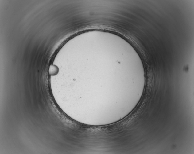 X0000115540896200911271407