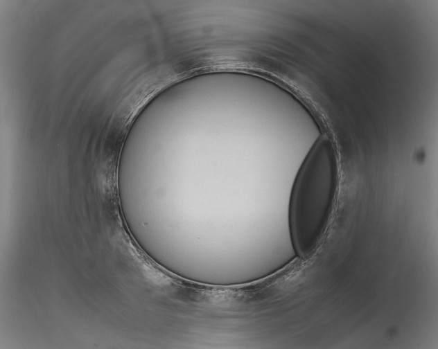 X0000115540897200911271407