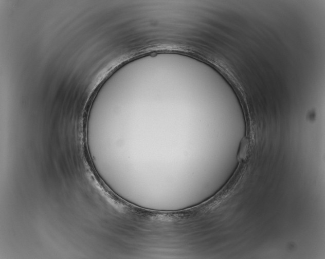 X0000115540898200911271407